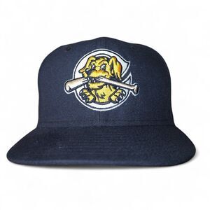 New Era Charleston RiverDogs Minor League Baseball Fitted Hat 6 7/8